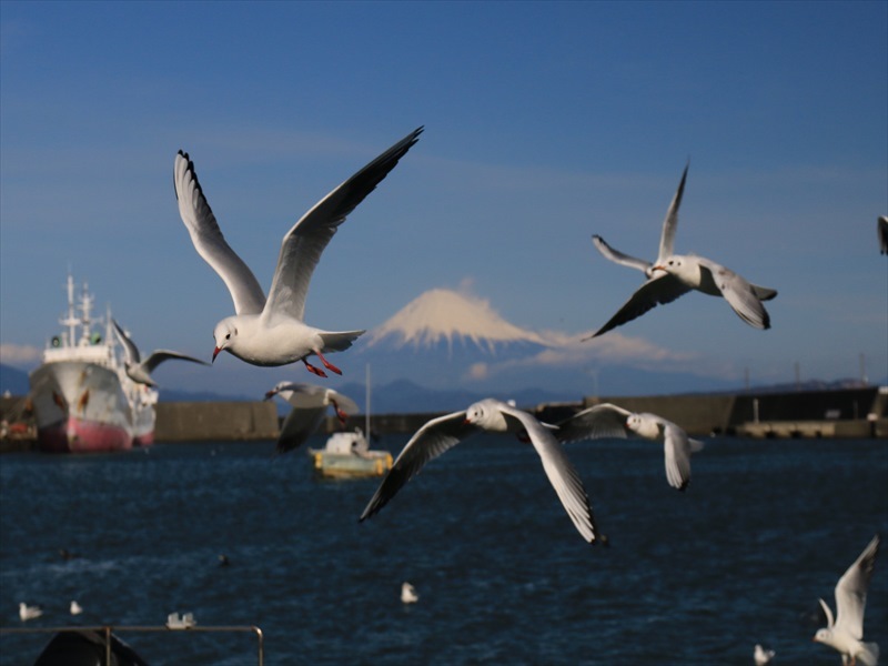 a0188405_10563928.jpg