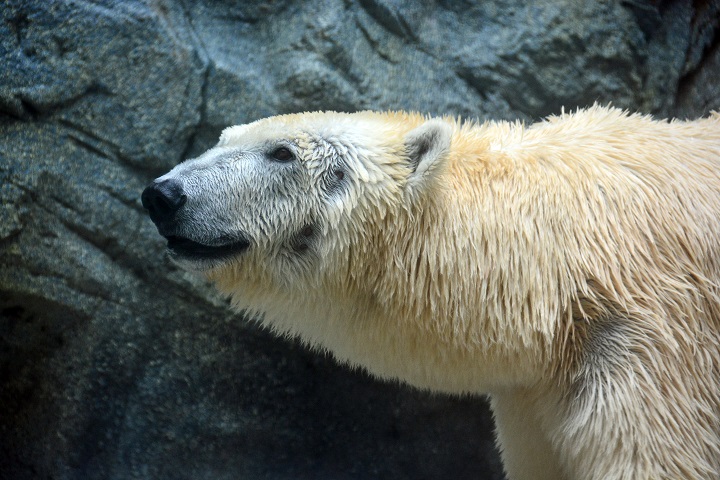 a0151913_0133726.jpg