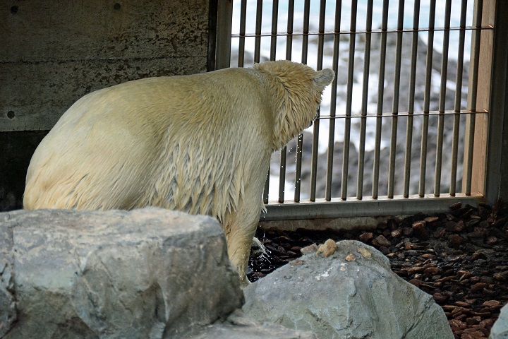 a0151913_042627.jpg