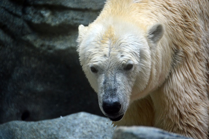 a0151913_062723.jpg