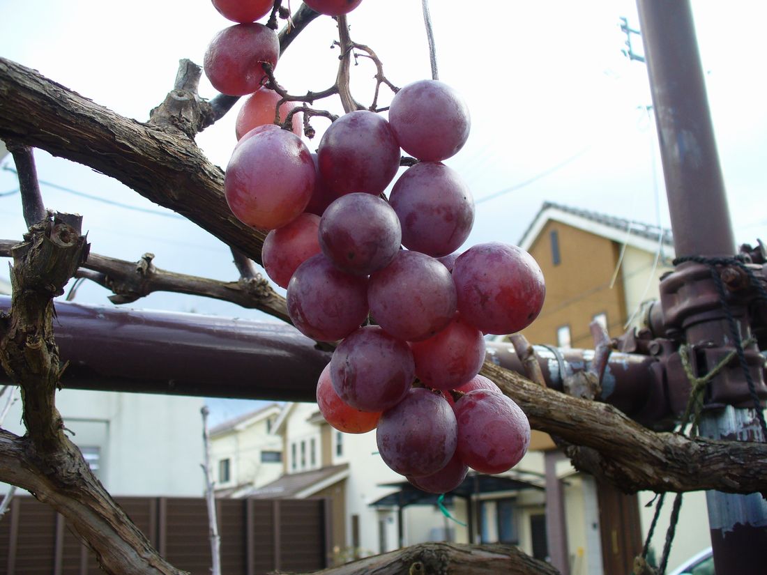 f0346527_2285383.jpg