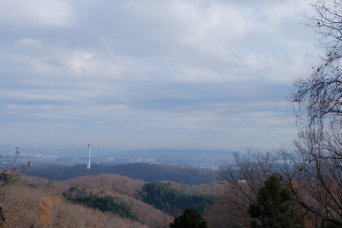 b0281732_614688.jpg