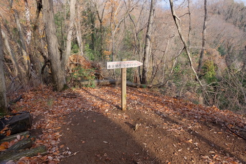 b0281732_62039.jpg