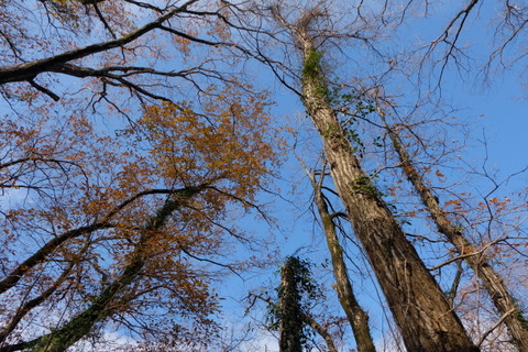 b0281732_621435.jpg