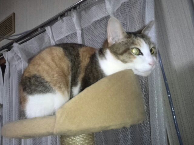 c0194042_21382362.jpg