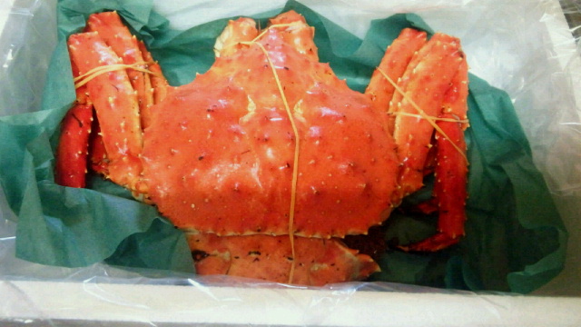 a0072146_20342927.jpg