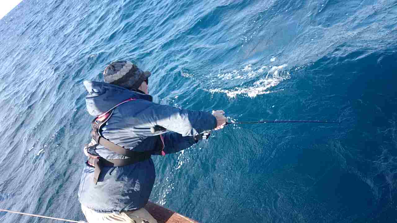 a0248152_17353912.jpg