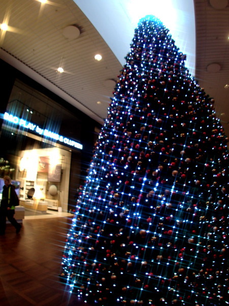 c0122670_00001656.jpg