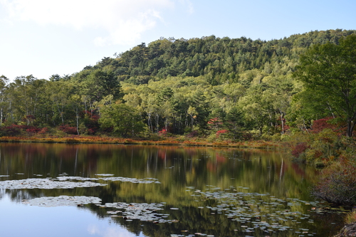 f0342371_19215390.jpg