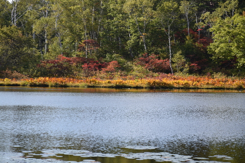 f0342371_19243881.jpg