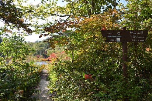 f0342371_19305329.jpg