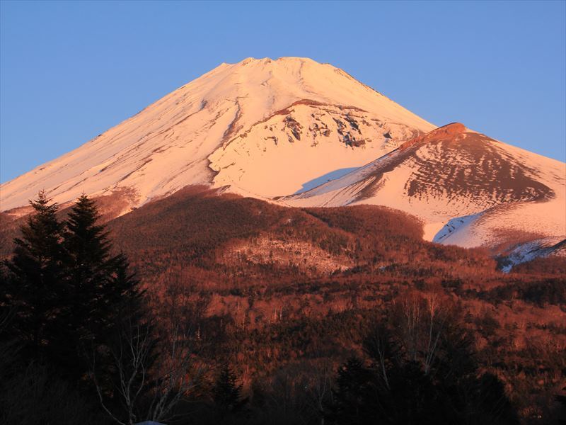 a0188405_11030053.jpg