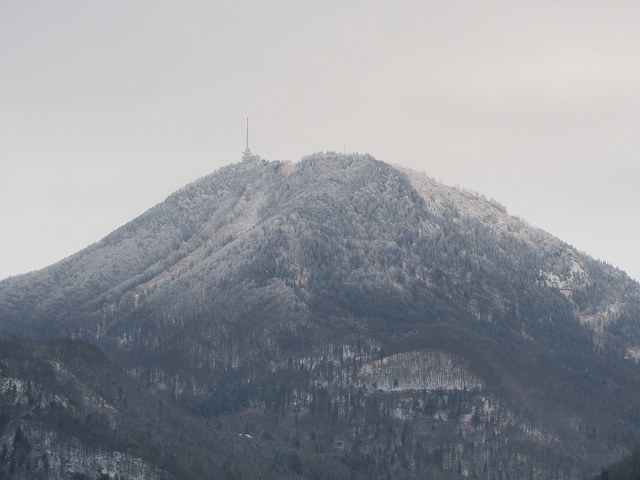 c0167813_3571360.jpg