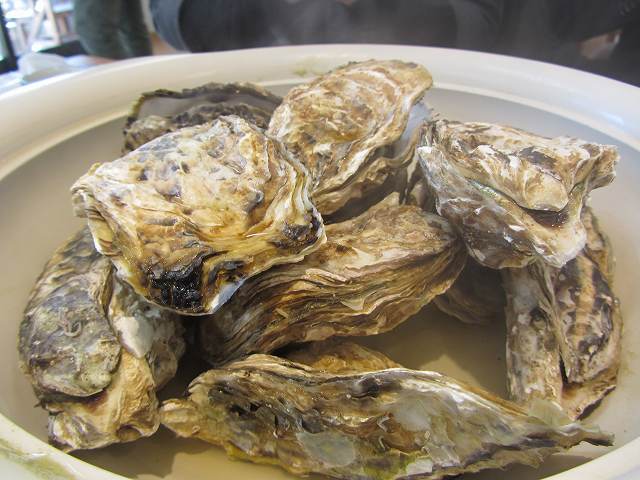 c0167813_4294157.jpg