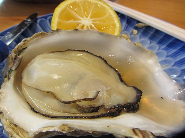 c0167813_4304290.jpg