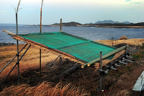 c0168815_01421551.jpg