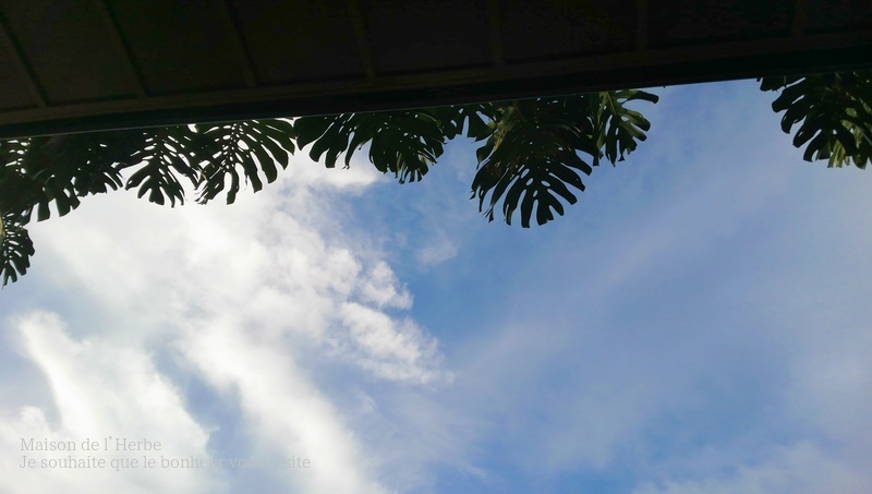 f0301515_1721730.jpg