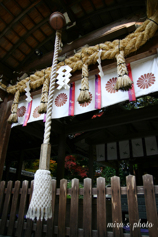 c0037519_20582231.jpg