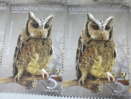 d0042827_14354344.jpg