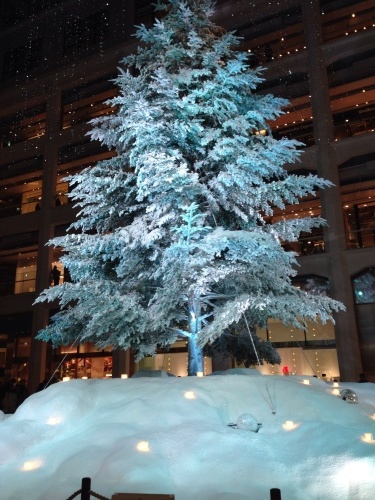 f0162932_19273173.jpg