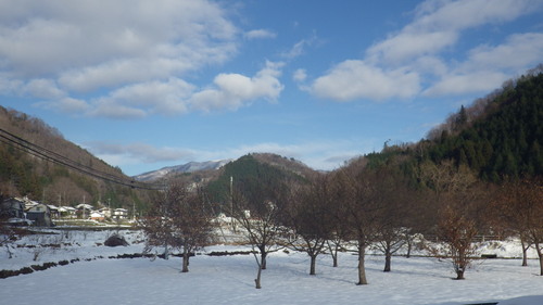 c0300035_1765178.jpg