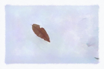 e0156339_11560800.jpg