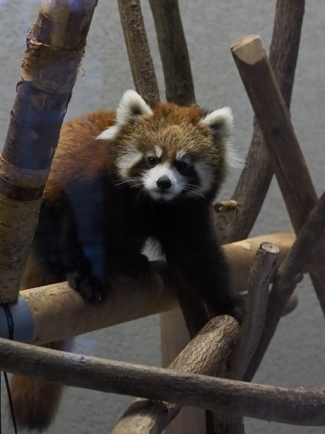 a0149740_5521780.jpg