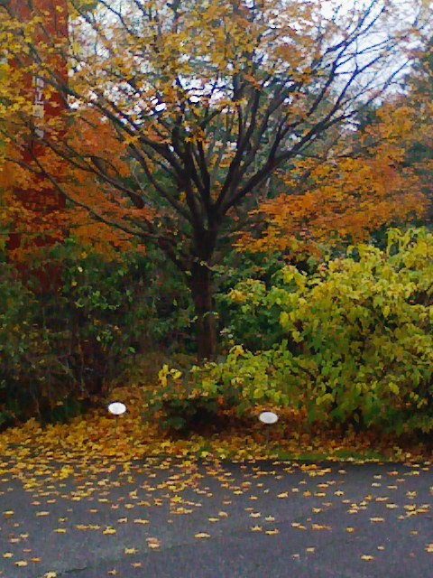 b0031140_19533776.jpg