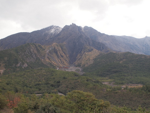 b0199742_1463488.jpg