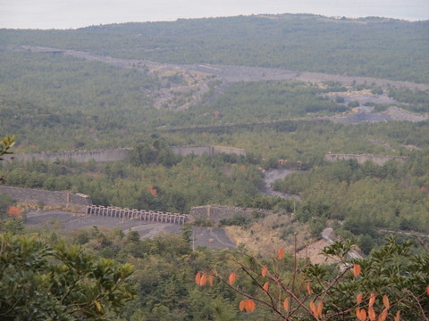 b0199742_1495335.jpg