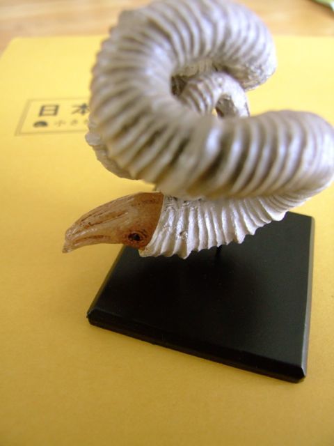 e0290546_15323736.jpg