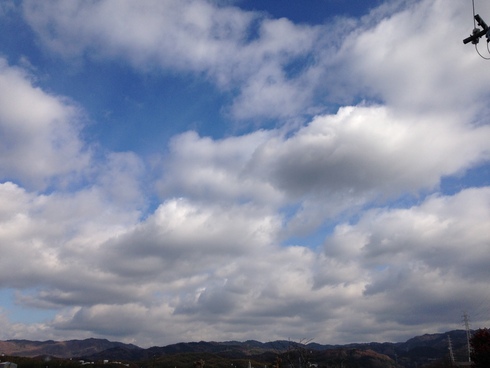 d0205250_1429226.jpg