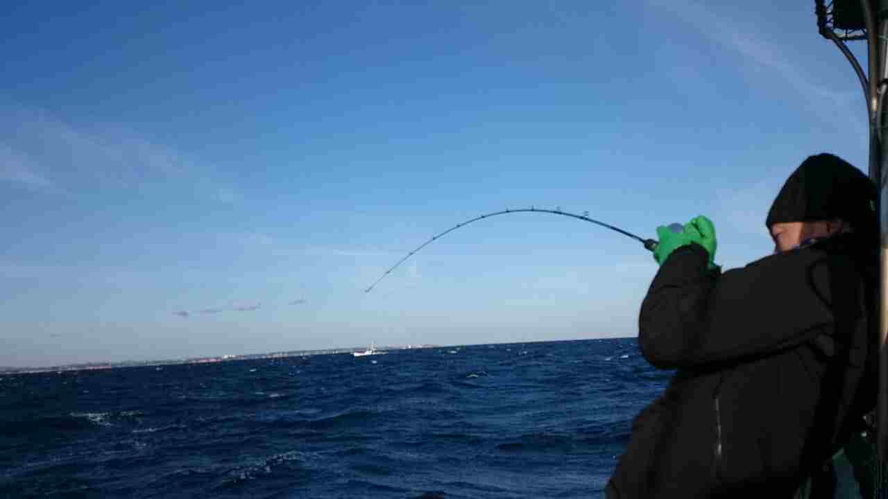 a0248152_1904522.jpg