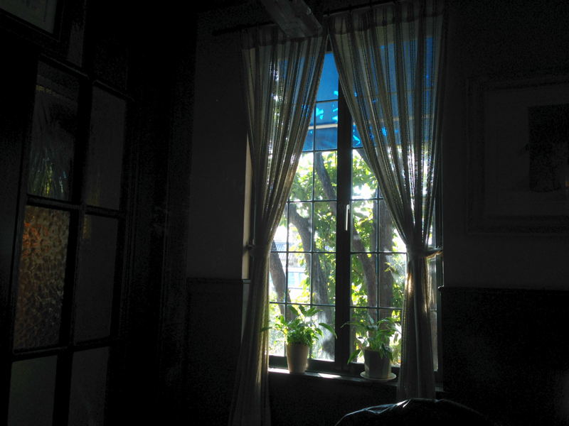 e0053660_2042516.jpg