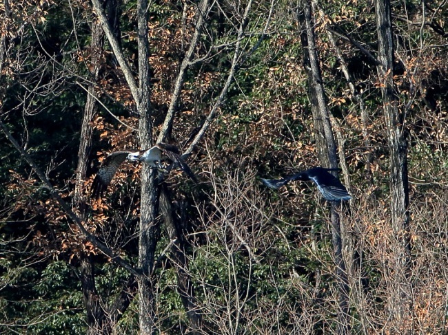 a0330864_17290766.jpg