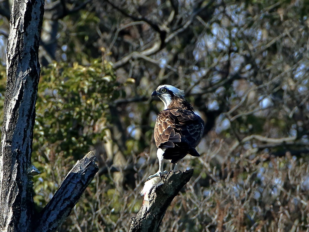 a0330864_17295934.jpg