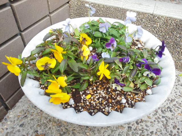 f0061067_17583836.jpg