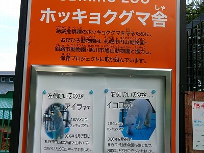 b0171771_00321327.jpg