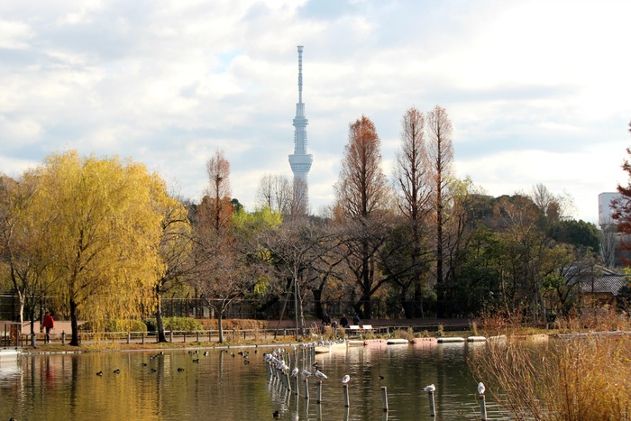 a0127090_1334750.jpg