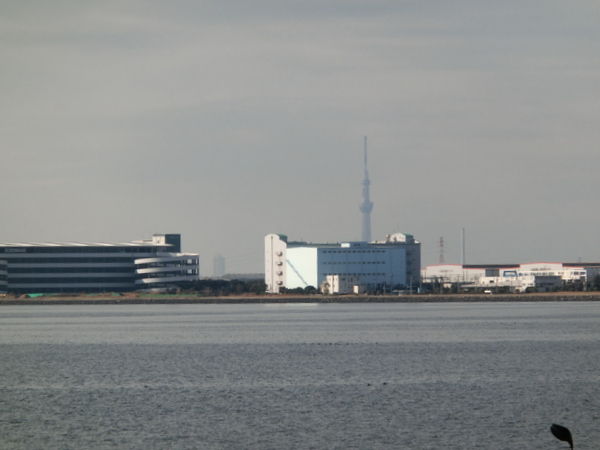d0098295_22303970.jpg