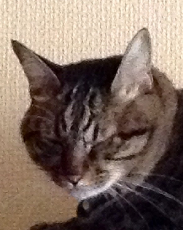 b0301400_01190457.jpg
