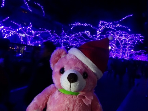 f0256400_1643292.jpg