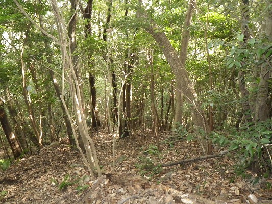 f0187402_22512464.jpg