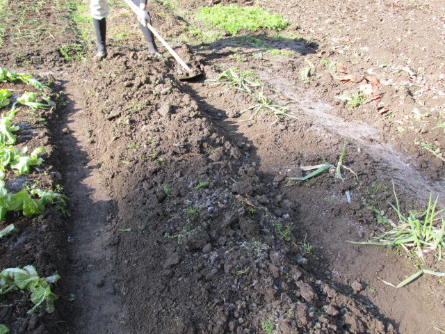 f0341616_07201284.jpg