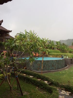 c0025422_848393.jpg