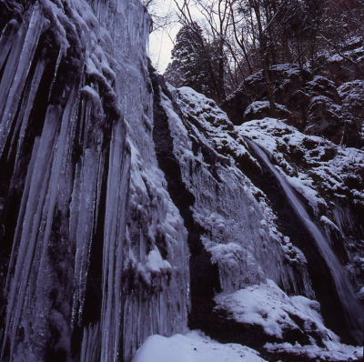 b0199226_14144759.jpg