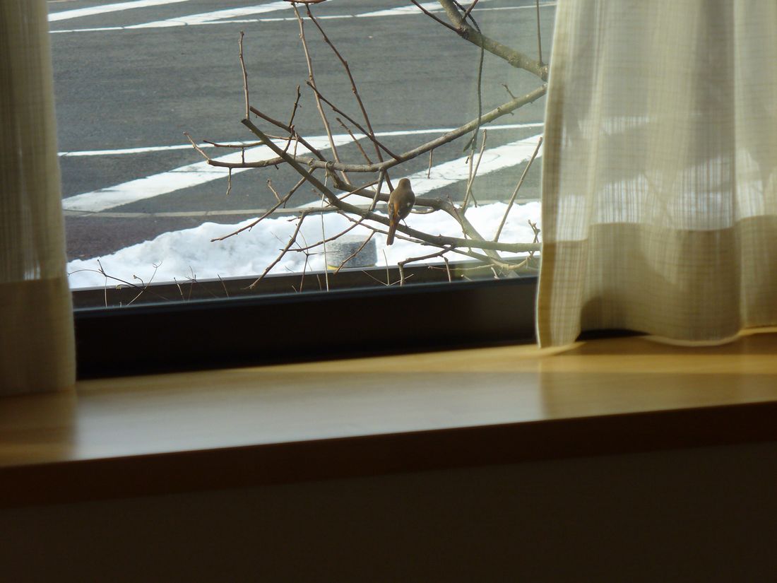 f0346527_22321421.jpg