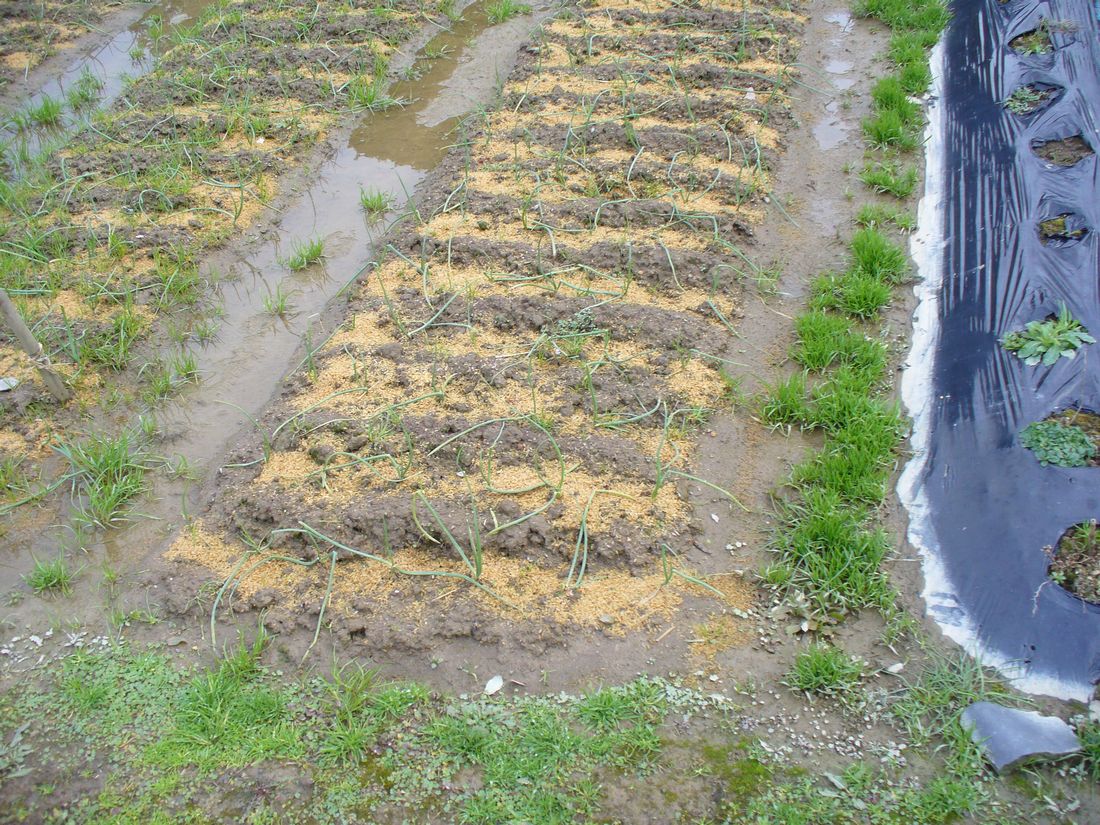 f0346527_22462833.jpg