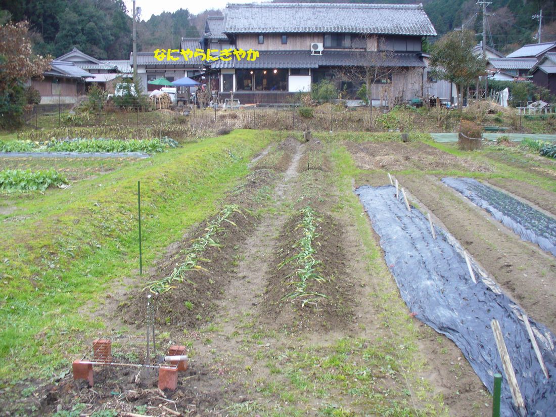 f0346527_2256948.jpg