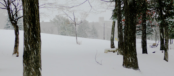 a0046429_2055511.jpg